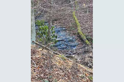 339 Stillhouse Branch Road, Laurel Springs, NC 28644 - Photo 46