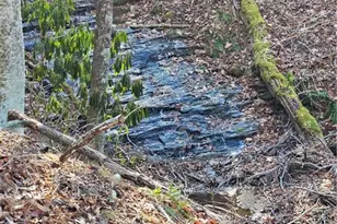 339 Stillhouse Branch Rd, Laurel Springs, NC 28644 - Photo 46