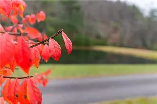 339 Stillhouse Branch Rd, Laurel Springs, NC 28644 - Photo 4