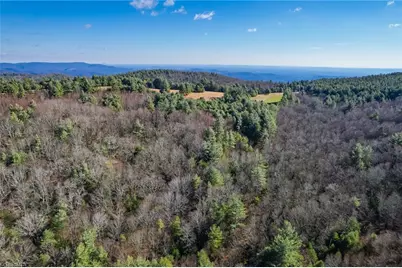 339 Stillhouse Branch Road, Laurel Springs, NC 28644 - Photo 38