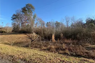 4436 US Hwy 421, Wilkesboro, NC 28697 - Photo 24