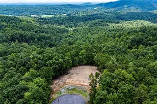 Tbd Carriage House Trail, McGrady, NC 28649 - Photo 1