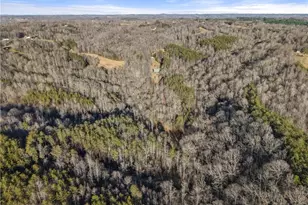 1345 Hardie Mabe Rd, Danbury, NC 27016 - Photo 42