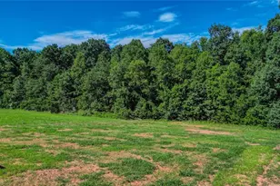 1816 Crutchfield Rd, Reidsville, NC 27320 - Photo 40