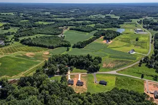 1816 Crutchfield Rd, Reidsville, NC 27320 - Photo 44