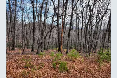 Tbd Ivy Green Trail, Lowgap, NC 27024 - Photo 2