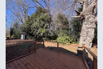 4586 Starmount Road, Liberty, NC 27298 - Photo 32