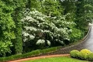 145 S Quail Cir, Wilkesboro, NC 28697 - Photo 22