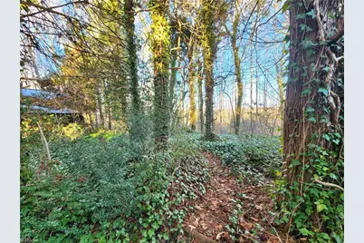 543 Fisher Valley Road, Dobson, NC 27017 - Photo 36