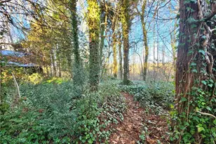 543 Fisher Valley Rd, Dobson, NC 27017 - Photo 36