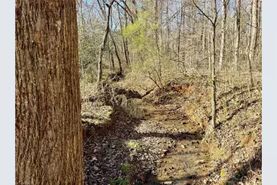 4202 Beaumont Drive, Sophia, NC 27350 - Photo 24