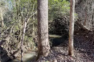 4202 Beaumont Dr, Sophia, NC 27350 - Photo 26