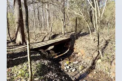 4202 Beaumont Drive, Sophia, NC 27350 - Photo 24