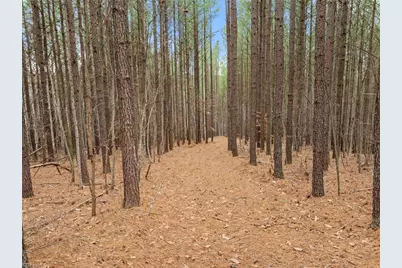 0 Doug Stanley Road, Sandy Ridge, NC 27046 - Photo 10