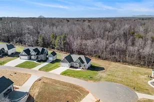 184 Providence Trl, Madison, NC 27025 - Photo 46