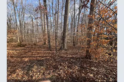 0 Lacie Nichole Drive, Graham, NC 27253 - Photo 8