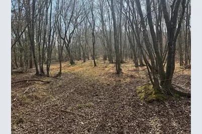 359 Rc Road, Traphill, NC 28685 - Photo 12