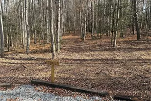 359 Rc Rd, Traphill, NC 28685 - Photo 10