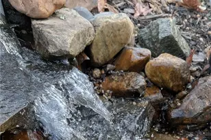 1126 Briggstown Rd, Lexington, NC 27292 - Photo 14