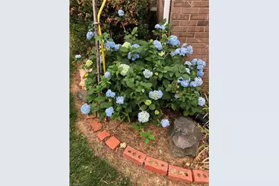 5610 Fleming Terrace Road, Greensboro, NC 27410 - Photo 50