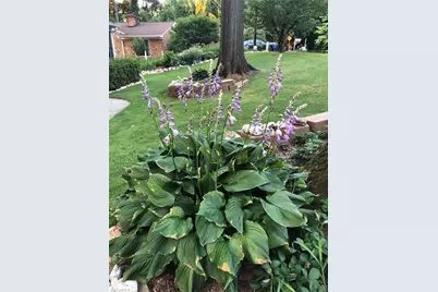 5610 Fleming Terrace Road, Greensboro, NC 27410 - Photo 48