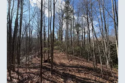 Tbd W US Highway 421, Purlear, NC 28665 - Photo 16