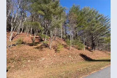 Tbd W US Highway 421, Purlear, NC 28665 - Photo 6