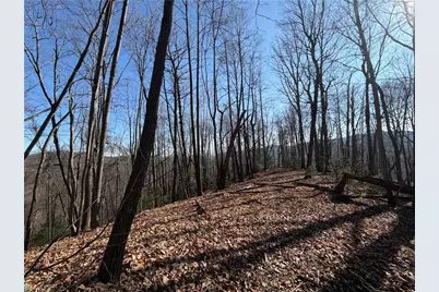 Tbd W US Highway 421, Purlear, NC 28665 - Photo 24