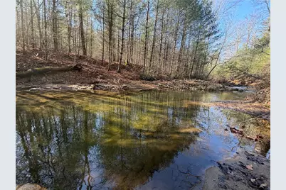 Tbd W US Highway 421, Purlear, NC 28665 - Photo 34