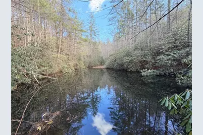 Tbd W US Highway 421, Purlear, NC 28665 - Photo 8