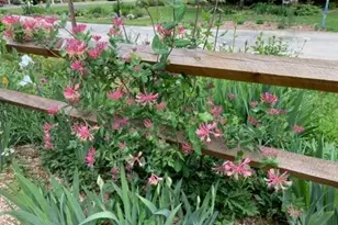 1609 Underpass Rd, Advance, NC 27006 - Photo 42