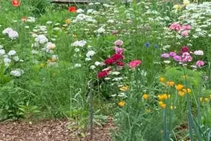 1609 Underpass Rd, Advance, NC 27006 - Photo 44