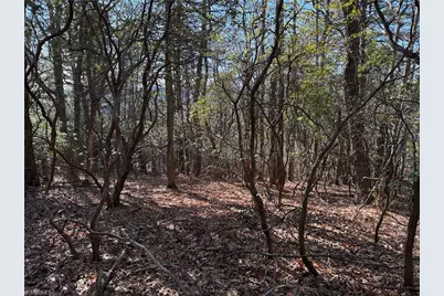 Lot 27 Bobcat Mountain Road, Purlear, NC 28665 - Photo 12