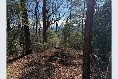 Lot 27 Bobcat Mountain Road, Purlear, NC 28665 - Photo 8