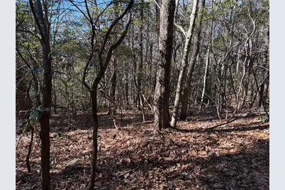 Lot 27 Bobcat Mountain Road, Purlear, NC 28665 - Photo 12