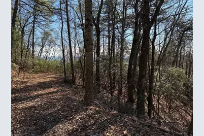 Lot 27 Bobcat Mountain Road, Purlear, NC 28665 - Photo 6