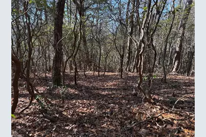 Lot 27 Bobcat Mountain Road, Purlear, NC 28665 - Photo 10