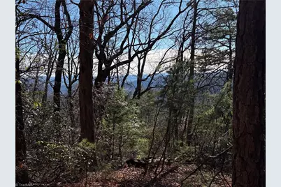 Lot 27 Bobcat Mountain Road, Purlear, NC 28665 - Photo 16