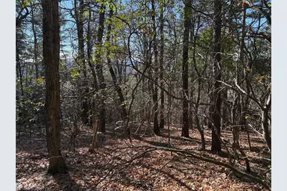 Lot 27 Bobcat Mountain Road, Purlear, NC 28665 - Photo 14