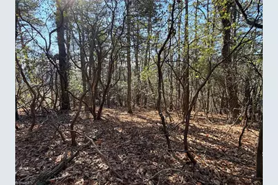 Lot 27 Bobcat Mountain Road, Purlear, NC 28665 - Photo 10
