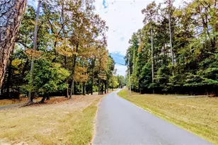 117 Delwood Ct, Mount Gilead, NC 27306 - Photo 34