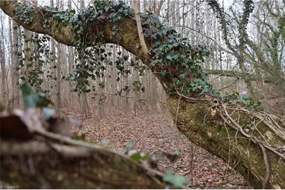 226 Hamburg Street, Mount Airy, NC 27030 - Photo 1