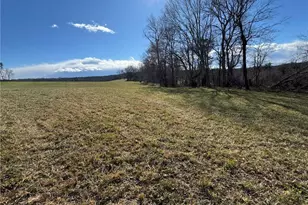 12544 Traphill Rd, Traphill, NC 28685 - Photo 48