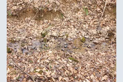 865 Armory Road, North Wilkesboro, NC 28659 - Photo 34