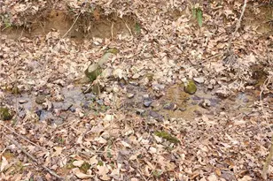 865 Armory Rd, North Wilkesboro, NC 28659 - Photo 34