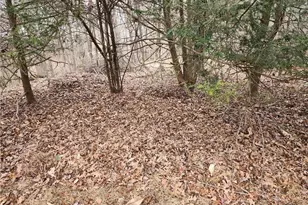 865 Armory Rd, North Wilkesboro, NC 28659 - Photo 36