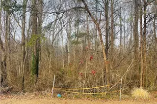 000 Union Hill Rd, Thurmond, NC 28683 - Photo 1