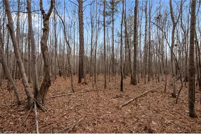 10.75 Acres Neals Store Road, Roxboro, NC 27574 - Photo 10