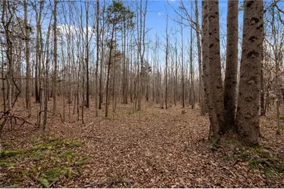 10.75 Acres Neals Store Road, Roxboro, NC 27574 - Photo 8