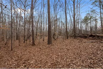 10.75 Acres Neals Store Road, Roxboro, NC 27574 - Photo 6